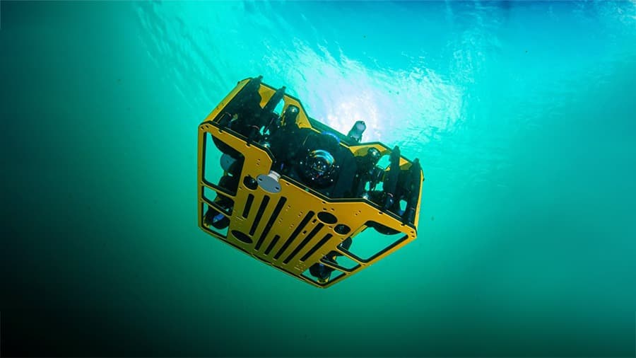 Subsonus Tag — image 8